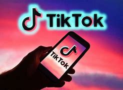 最新版TikTok 抖音国际版解锁版下载 v39.4.3 去广告 免拔卡-烟花资源网