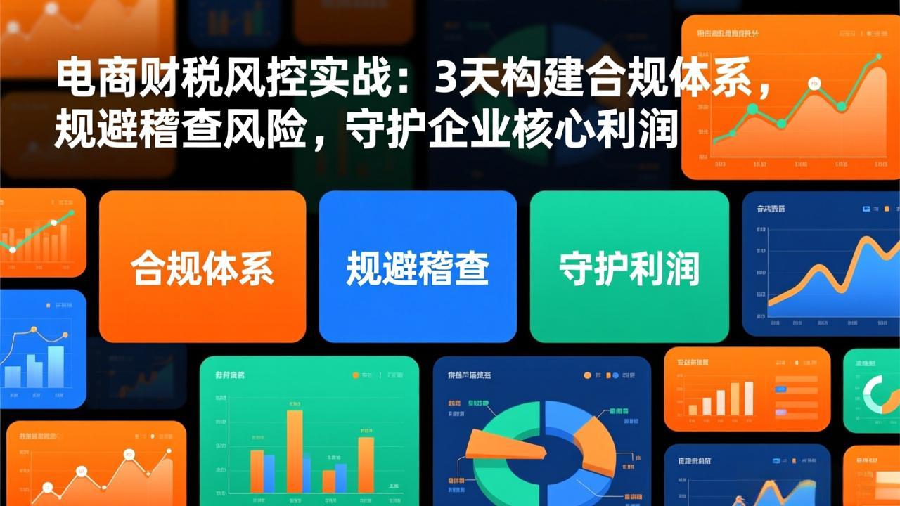 电商财税风控实战：3天构建合规体系，规避稽查风险，守护企业核心利润-烟花资源网