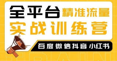 全平台精准流量实战训练营，百度微信抖音小红书SEO引流教程-烟花资源网